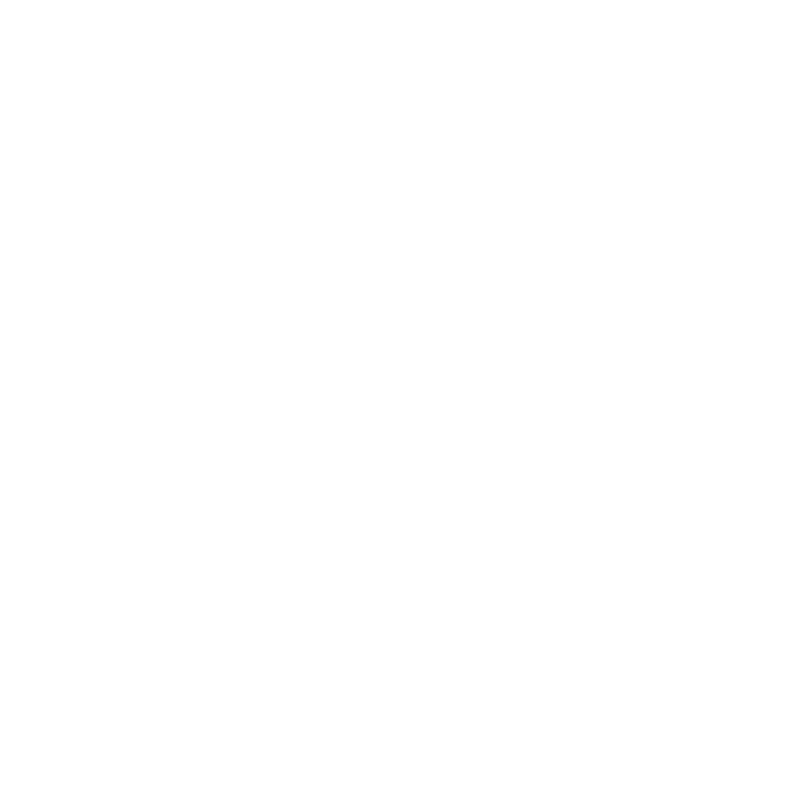 VIRTUS MARITIME